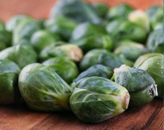 250 semillas de coles de Bruselas Catskill / Vegetal tradicional sin OMG / Cultivo de jardín resistente al frío