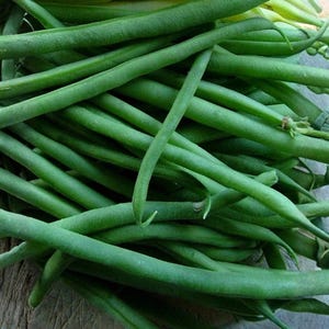 Può includere: Primo piano di un mucchio di fagiolini freschi e vibranti. I fagiolini sono lunghi, sottili e hanno una consistenza liscia. Alcuni fagiolini hanno una leggera curva. L'immagine mostra il colore e la forma naturali delle verdure.