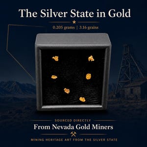 May include: Six small, irregular gold nuggets displayed inside a square black box with a black velvet interior. The text above reads The Silver State in Gold, 0.205 grams | 3.16 grains, and below reads Sourced Directly From Nevada Gold Miners.