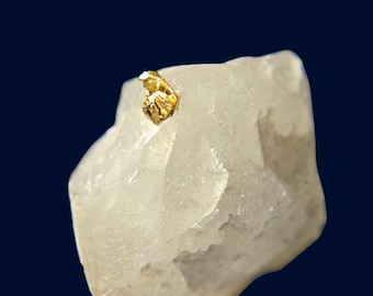 Raw Nevada Gold in Quartz Crystal | Anvil Range Humboldt County | Natural Gold Specimen Display