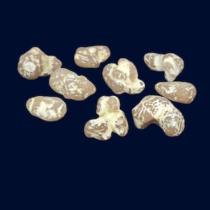 Snakeskin Agate Pair from Rome Oregon | Textured Chalcedony Pattern Stones