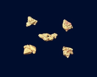 Six Natural Nevada Gold Nuggets | Raw Placer Gold Collection Display Set