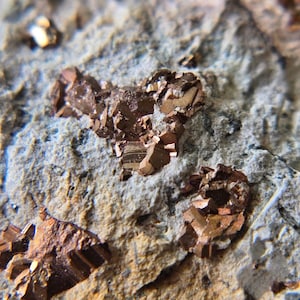 May include: A macro view of a mineral specimen featuring metallic, bronze-coloured cubic crystals embedded within a rough, light grey, porous rock matrix. The crystalline structures exhibit sharp, geometric facets that reflect light across the surface.