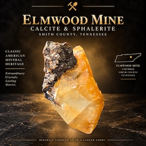 May include: A mineral specimen from Elmwood Mine, Smith County, Tennessee, featuring a translucent golden-yellow calcite crystal attached to a dark, metallic-textured sphalerite cluster. The image includes text identifying the location and mineral type.