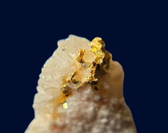 Exposed Nevada Gold Vein in Quartz | Bullion District Specimen | Natural Display Piece