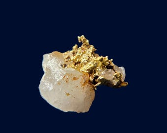 Bright Gold in Quartz Specimen | Sierra Nevada California Display Piece