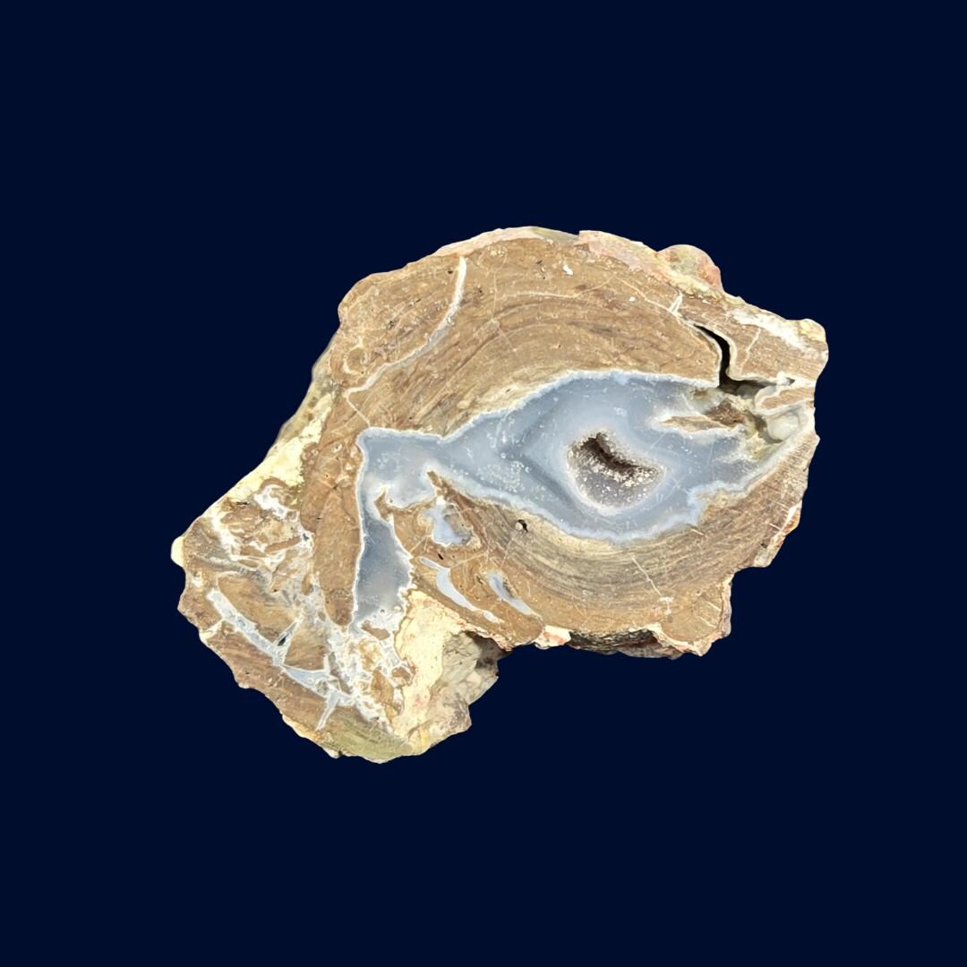 Nevada Blue Chalcedony Geode With Drusy Pocket | Austin Display Stone ...