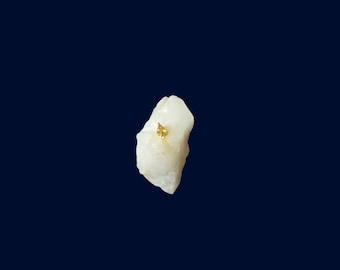 California Gold Point Set in Quartz | Sierra Nevada Natural Gold Specimen