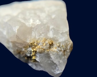Gold in Quartz with Gold Vein | Gympie Australia Specimen