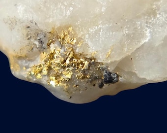 Gold Veins in Quartz from Sierra Nevada | Natural Gold Bearing Specimen