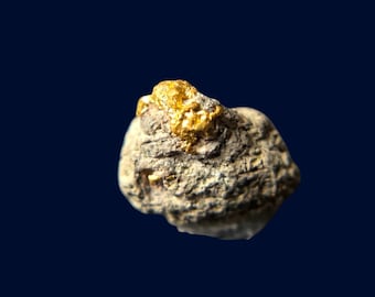 Perched Nevada Gold on Matrix | Bullion District Specimen | Natural Gold Display Piece