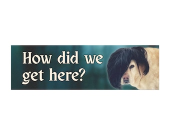 How Did We Get Here Dog Car Bumper Magnet | Emo Vampire Romance Accessory  for Halloween