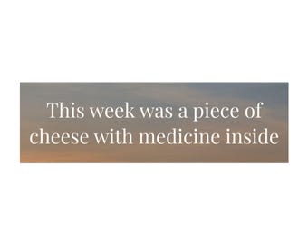 This Week Was a Piece of Cheese With Medicine Inside Car Bumper Magnet | Self-Deprecating Humor Gift, Dark Humor Meme