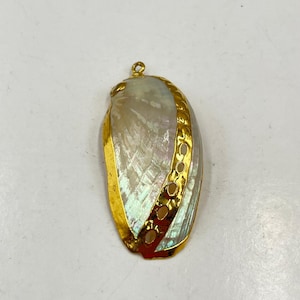 May include: A pearlescent, iridescent seashell pendant with gold-colored trim. The pendant has a loop at the top for hanging. The gold trim features a series of small, circular cutouts. The shell has a natural, organic shape.