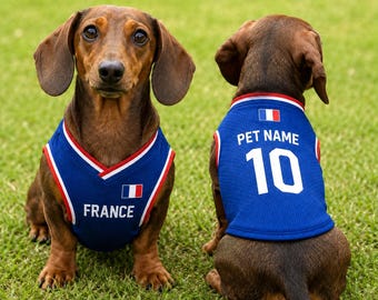 Personalized France Dog Jersey, Custom Cat Football Shirt with Name Number