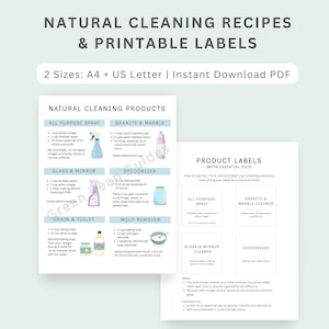 DIY Homemade Cleaning Recipes Guide + Printable Labels, Natural Eco Friendly Products for Homes, Non-Toxic Cleaning Chart, Zero Waste PDF