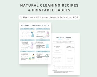 DIY Homemade Cleaning Recipes Guide + Printable Labels, Natural Eco Friendly Products for Homes, Non-Toxic Cleaning Chart, Zero Waste PDF