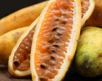 Banana Passion Fruit Seeds, 15+ premium heirloom non-GMO, fresh tropical vine