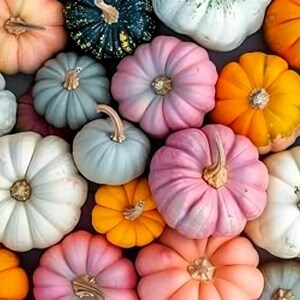 Colorful Pumpkin Seeds Mix, 20 mixed seeds, pink black blue orange white, pumpkin patch seeding kit