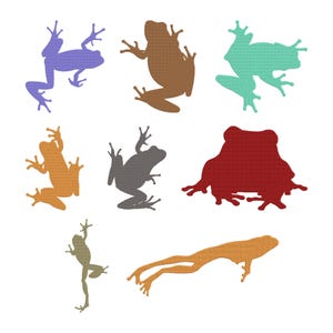 Op de afbeelding: Een verzameling van acht kleurrijke kikker silhouetten in verschillende poses. De kikkers zijn in tinten paars, bruin, blauwgroen, oranje, grijs, rood en olijfgroen. De afbeelding staat op een witte achtergrond.