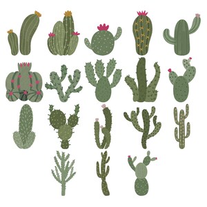 May include: A collection of seventeen illustrated cacti in various shades of green, featuring diverse shapes, textures, and small pink or yellow flowers. Each cactus is depicted individually with distinct spines, segments, and rounded or elongated forms.