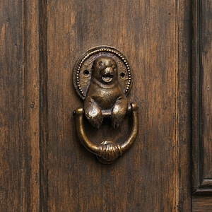 May include: A bronze-toned metal door knocker featuring a sculpted seal figure mounted on a circular backplate. The seal is depicted with an open mouth and front flippers resting on a U-shaped swinging handle, all attached to a dark wood door.