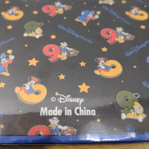 Álbum de fotos vintage de Walt Disney World de 1999, 80 páginas magnéticas, Mickey Mouse, 3 anillas. imagen 10