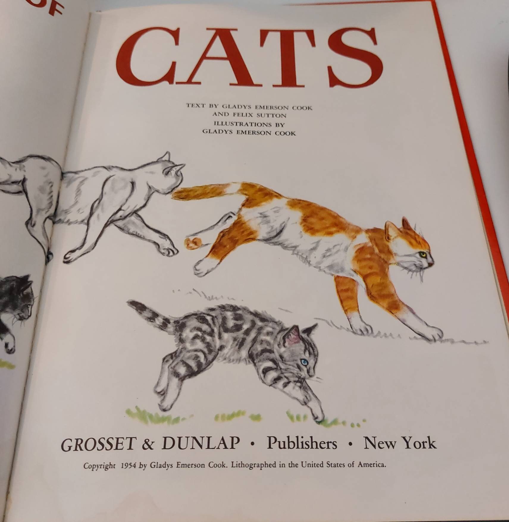 The Big Book of Cats, Vintage Kitty Literature With Full Colour Amazing ...