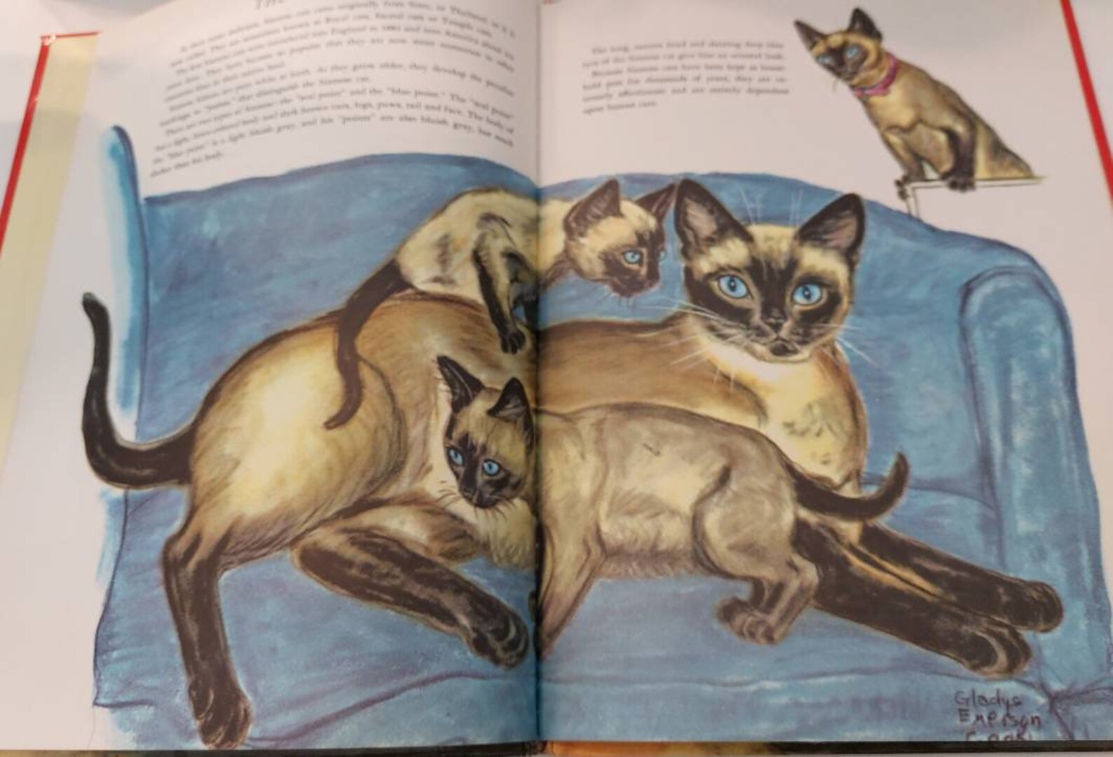 The Big Book of Cats, Vintage Kitty Literature With Full Colour Amazing ...