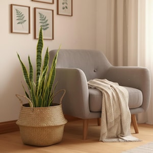 Może przedstawiać: Tkany kosz z wężownicą, z wysokimi zielono-żółtymi paskami liści, stoi na drewnianej podłodze. Szary fotel z beżowym kocem w tle, z oprawionymi botanicznymi nadrukami na ścianie.