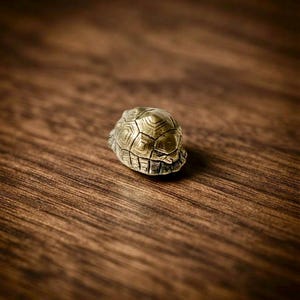 Może przedstawiać: Mała, metalowa figurka żółwia w srebrnym odcieniu, posiadająca szczegółową, teksturowaną skorupę z geometrycznymi wzorami. Obiekt przedstawiono z góry, ukazując skomplikowane, wypukłe linie oraz poszczególne segmenty pancerza.