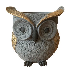 Może przedstawiać: Szara donica w kształcie sowy ze złotymi akcentami na skrzydłach. Sowa ma duże, szczegółowe oczy i teksturowaną powierzchnię. Donica jest przeznaczona do małych roślin lub kwiatów.