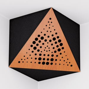 May include: Acoustic panel with a geometric design. The panel is a black hexagon with a wooden triangle in the center. The triangle has a series of circular cutouts. The panel is mounted in a corner.