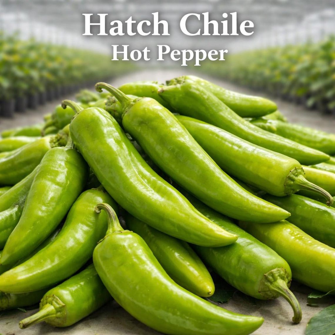 New Mexico Hatch Chile Seeds