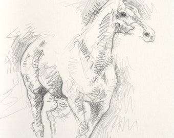 Pencil Horse Original Art Drawing on Paper