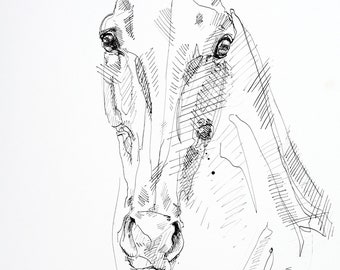 Original Black Ink Art Drawing of an Expressive Horse Head on paper