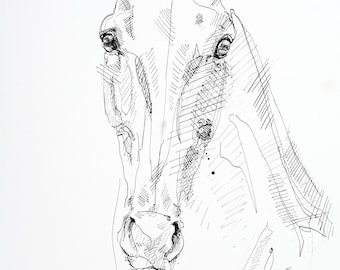 Pintura de bellas artes en tinta negra de una expresiva cabeza de caballo sobre papel