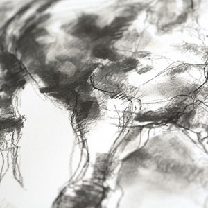 Original Charcoal Drawing of two Horses which impose themself for hierarchy image 4