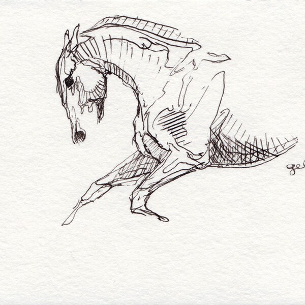 Equine Nude 48 - Race Horse Black Ink Original Drawing