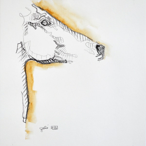 Esquisse originale et moderne d'une tête de cheval au fusain et aquarelle sur papier