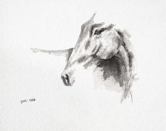 Kleine Tuschezeichnung eines Pferdekopfes