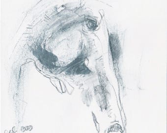Pencil Horse Head Original Art Drawing on Paper