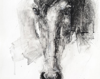 Disegno originale a carboncino e gesso nero raffigurante una testa di cavallo in bianco e nero