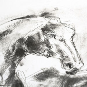 Original Charcoal Drawing of two Horses which impose themself for hierarchy image 3