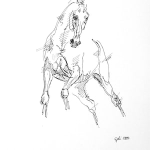 Peut inclure: Dessin au trait en noir et blanc d'un cheval cabré. L'œuvre présente une esquisse dynamique du cheval avec un travail de lignes détaillé, capturant le mouvement et la forme de l'animal. La signature de l'artiste est dans le coin inférieur droit.