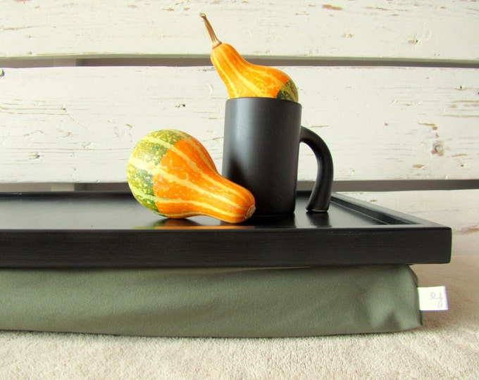 Laptop Bean Bag Lap Desk or Breakfasts in Bed Serving Tray Etsy