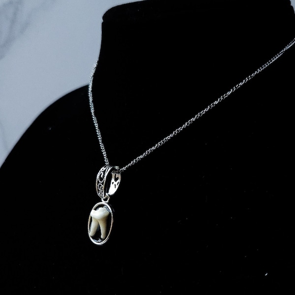 Tooth Necklace | Bone Necklace | Bone Pendant | Tooth Pendant | Gothic Natural Necklace | Handmade Statement Jewelry |Oddity Jewelry