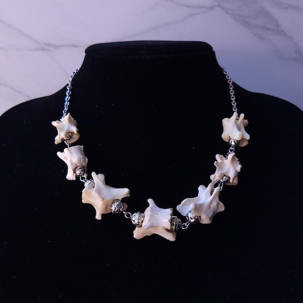 Bone Necklace | Bone Pendant | Bone Choker | Gothic Natural Necklace | Handmade Statement Jewelry |Oddity Jewelry