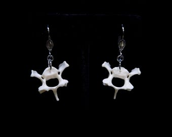 骨ピアス｜椎骨ピアス｜ゴシックピアス｜ゴシックナチュラルピアス｜奇抜なジュエリー