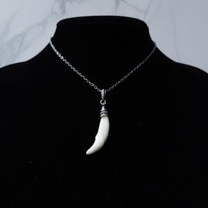 May include: A silver chain necklace with a pendant shaped like a white fang. The pendant has a silver cap at the top. The necklace is displayed on a black mannequin.